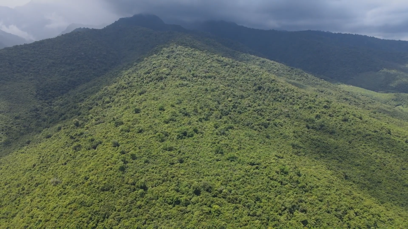 Stewardship Illustration